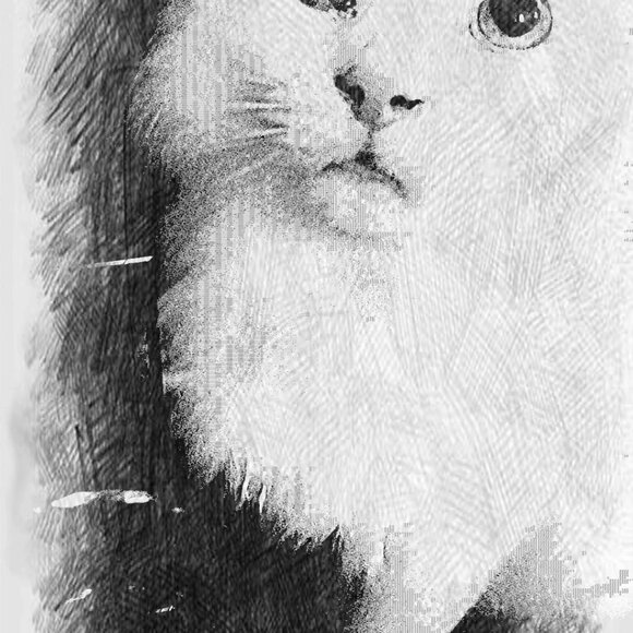 Meet your Posher, Caeli - Picture 16 of 16